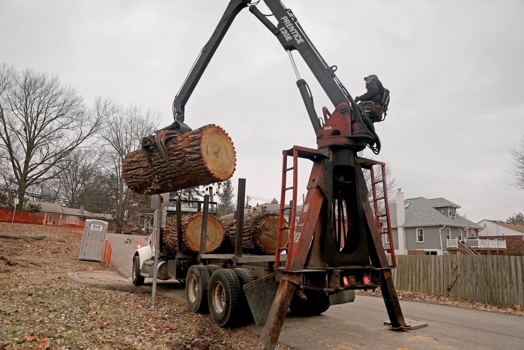 LLC makes smart use of urban trees